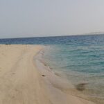 Doha: Desert Safari (Private Tour) with Pick Up & Drop Off - The Sum Up