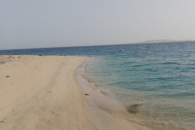 Doha: Desert Safari (Private Tour) with Pick Up & Drop Off - The Sum Up