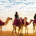 "Doha Desert : Safari, Sandboarding, Camel Ride & Inland Sea" - Final Thoughts: Who Is This Tour Best For?