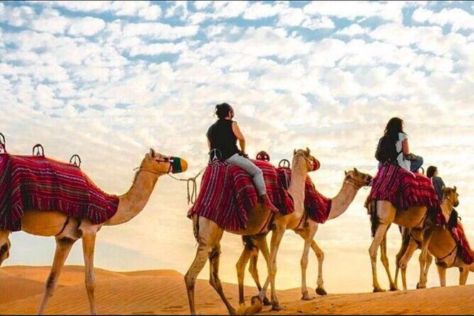"Doha Desert : Safari, Sandboarding, Camel Ride & Inland Sea" - Final Thoughts: Who Is This Tour Best For?