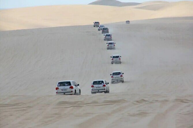 Doha Half Day Desert Safari Dune Bashing CamelRide & Sandboarding - Authentic Feedback from Reviewers