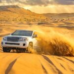 Doha Half Day Desert Safari with Camel Ride and Sand Boarding - The Experience in Detail