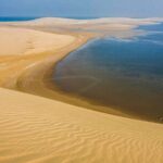 Doha Layover Desert Safari, Camel Ride, Sand Boarding, Inland Sea - The Experience of the Desert and Inland Sea
