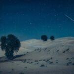 Doha Night Desert Safari Adventure - Seamline Stop: The Gateway to Adventure