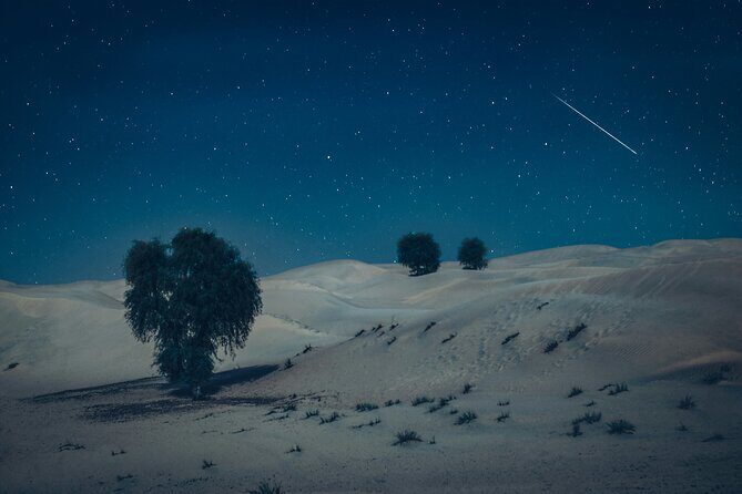 Doha Night Desert Safari Adventure - Seamline Stop: The Gateway to Adventure