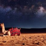 Doha Night Desert Safari Stargazing Camel Ride and Dune Bashing - Practical Tips for Booking and Enjoying