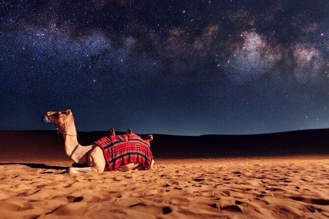Doha Night Desert Safari Stargazing Camel Ride and Dune Bashing - Practical Tips for Booking and Enjoying
