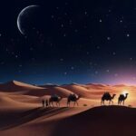 Doha Night Desert Safari, Stargazing, Photography Relaxation - The Practicalities & Value