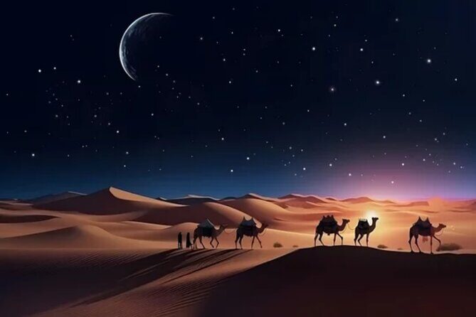Doha Night Desert Safari, Stargazing, Photography Relaxation - The Practicalities & Value