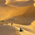 Doha Private Half-Day Guided Desert Safari Tour - Who Should Consider This Tour?