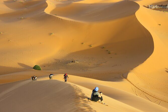 Doha Private Half-Day Guided Desert Safari Tour - Who Should Consider This Tour?