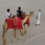 Doha-Private Half Day Safari Camel Ride and Sandboard included - An in-depth look at the desert safari experience
