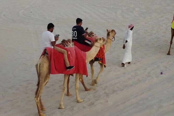 Doha-Private Half Day Safari Camel Ride and Sandboard included - An in-depth look at the desert safari experience