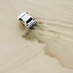 Doha-Private half day safari Sunrise/Sunset - Why We Think This Tour Offers Great Value