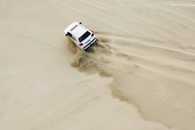 Doha-Private half day safari Sunrise/Sunset - Why We Think This Tour Offers Great Value