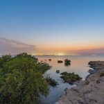 Doha Private North Qatar Tour, Mangroves and Al Zubarah Fort - Practical Tips for Travelers