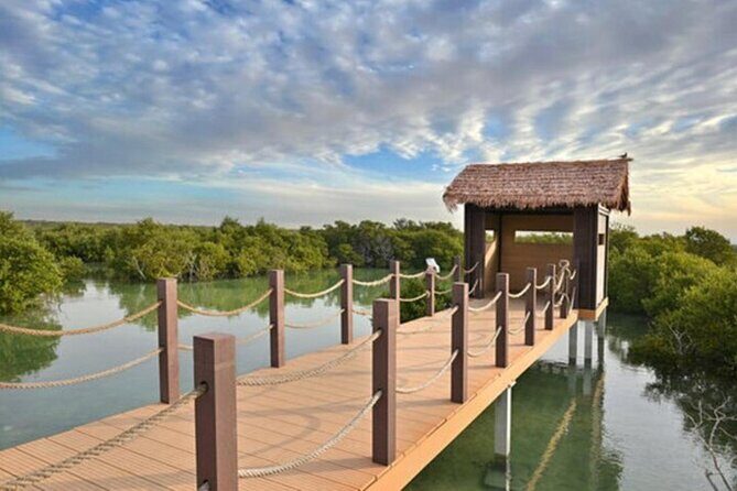 Doha Private North Tour Zubara Fort Purple Island & Mangrove - Practical Details and Tips