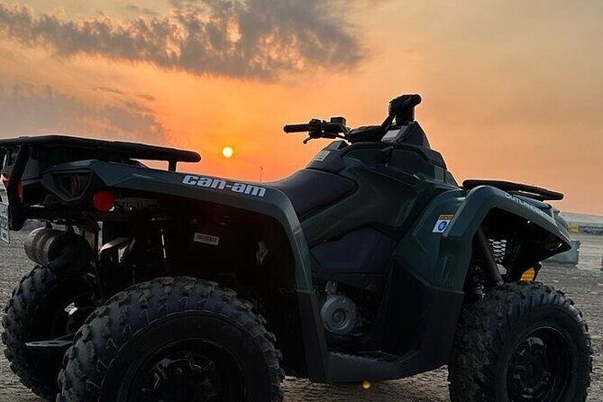 Doha Qatar ATV Quad Bike Buggy Desert Adventure and Camel Ride - The Itinerary Breakdown: What to Expect at Each Stop