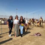 Doha, Qatar: Came Racing Track, Oryx & Sheikh Faisal Museum Tour. - What Makes This Tour Stand Out