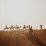 Doha Quad Bike, Dune Bashing, Camel Ride and Island Sea Tour - Who Will Love This Tour?