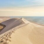 Doha Safari Adventures, Dune Bashing, Sand Buggy, Camel Ride Tour - Why This Tour Stands Out