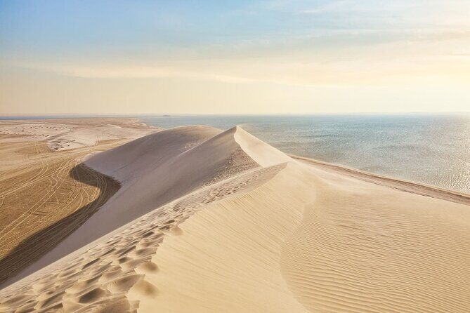 Doha Safari Adventures, Dune Bashing, Sand Buggy, Camel Ride Tour - Why This Tour Stands Out