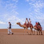 Doha: Safari, Dune bashing, Camel Ride, Sandboarding & Inland Sea - Who Will Love This Tour?