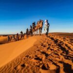Doha Sunrise Desert Safari Tour| Dune Bashing| Inland Sea visit| Camel Riding - Dune Bashing and Adventure