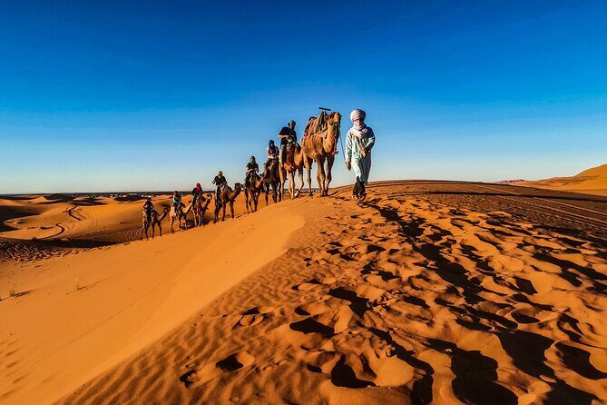 Doha Sunrise Desert Safari Tour| Dune Bashing| Inland Sea visit| Camel Riding - Dune Bashing and Adventure