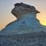 Doha : West Coast Tour on Zekreet Peninsula - An Intimate Visit to Al Shahaniya Racetrack – A Glimpse into Qatar’s Camel Racing Heritage