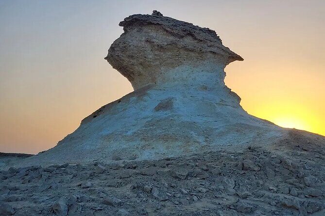 Doha : West Coast Tour on Zekreet Peninsula - An Intimate Visit to Al Shahaniya Racetrack – A Glimpse into Qatar’s Camel Racing Heritage
