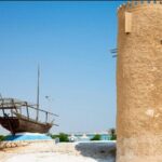 Doha Zubara Fort, Purple Island and Mangrove Exploration - What Makes This Tour Stand Out?
