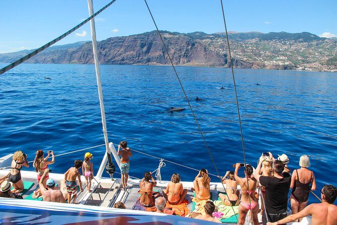 Dolphin and Whale Watching Catamaran Cruise from Funchal - Why Choose This Tour?