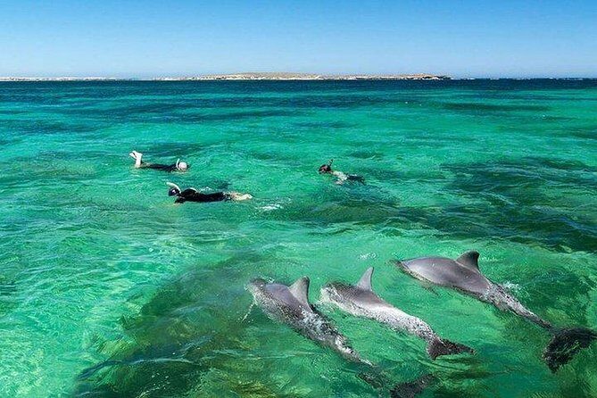 Dolphin Encounters, Ile aux Benitier & Crystal rock: Full-Day (Lunch & Transfer) - Transportation, Group Size, and Value
