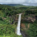 Dolphin Experience in Open Sea and South West Tour of Mauritius including Lunch - Exploring the Itinerary in Detail