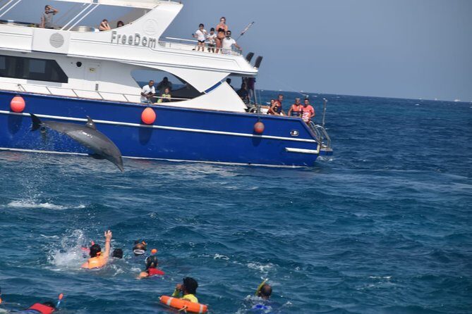 Dolphin House and Banana Boat Fun from Hurghada - Why This Tour Offers Great Value