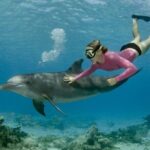Dolphin House Cruise with water sports and Lunch in Hurghada - Final Thoughts