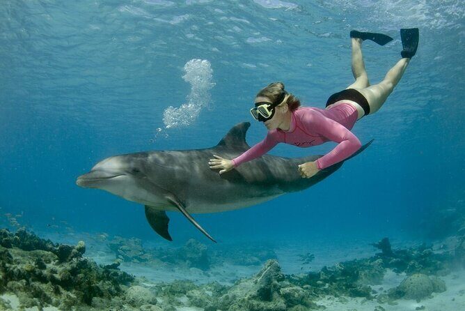 Dolphin House Cruise with water sports and Lunch in Hurghada - Final Thoughts