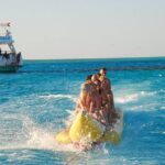 Dolphin House sea trip - Practical Tips for Booking and Participation