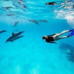 Dolphin House Snorkeling Trip & Water Sport With Lunch - Hurghada - Who Should Consider This Tour?