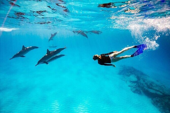 Dolphin House Snorkeling Trip & Water Sport With Lunch - Hurghada - Who Should Consider This Tour?