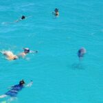 Dolphin Reef Trip, Full-Day Boat Trip With Snorkeling and Lunch. - Why This Tour Works Well
