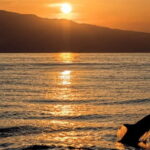 Dolphin Tour  85% chance - All inclusive Drinks + Dinner - The Overall Value