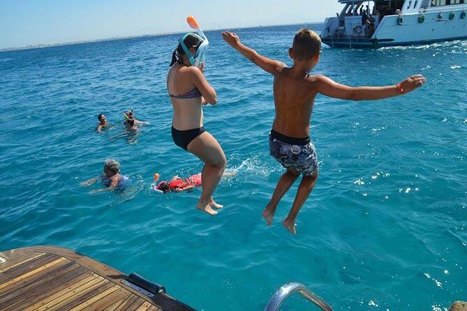 Dolphin Tour in Hurghada - The Itinerary Breakdown