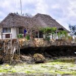Dolphin tour, Jozani Forest, Jambiani Kuza Cave, Paje Beach &The Rock restaurent - Authentic Insights from the Reviews