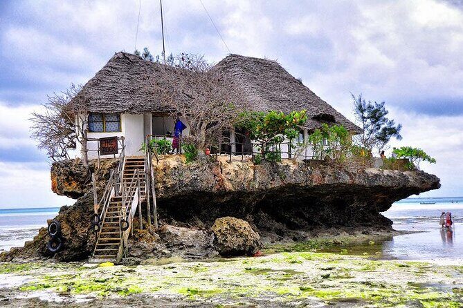 Dolphin tour, Jozani Forest, Jambiani Kuza Cave, Paje Beach &The Rock restaurent - Authentic Insights from the Reviews