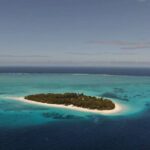 Dolphin Tour, Jozani Forest Tour, Kuza Cave Tour, Paje Beach,The Rock Restaurant - Practical Details and What To Expect