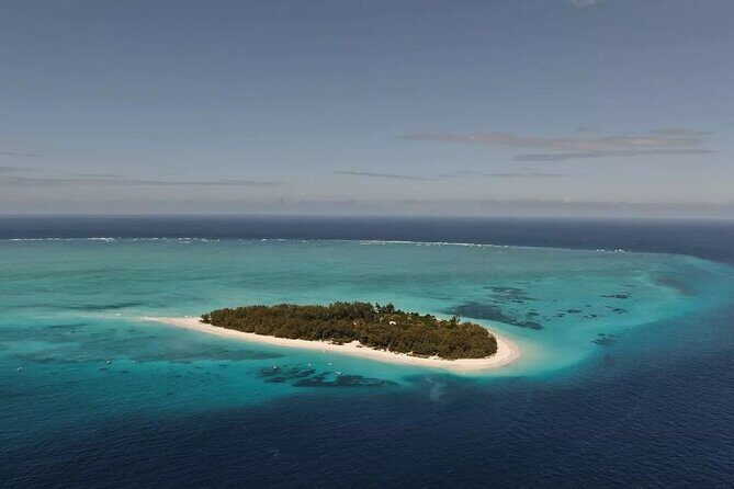 Dolphin Tour, Jozani Forest Tour, Kuza Cave Tour, Paje Beach,The Rock Restaurant - Practical Details and What To Expect