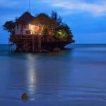Dolphin Tour; Kuza Cave Tour; Paje Beach; The Rock Restaurant; Jozani Forest - Transportation and Practicalities