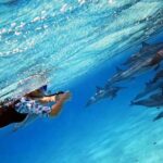 Dolphin watching 7 hours Boat Trip & Snorkelling from Hurghada - How the Day Unfolds